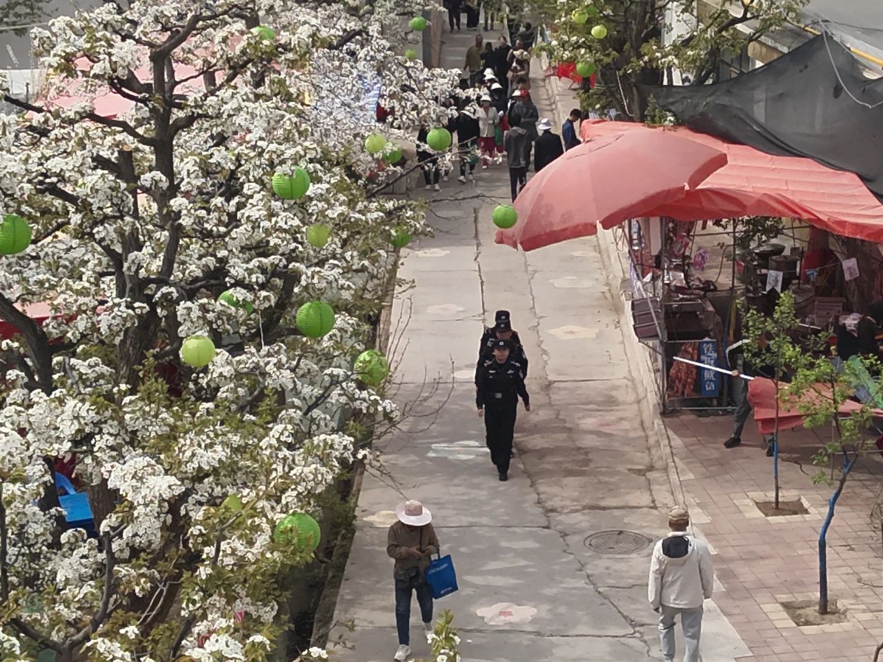 “空中警察”守护平安——青海省海东市乐都区公安局警用无人机赋能现代警务创新实践见闻 